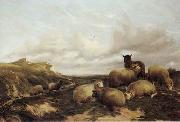 unknow artist Sheep 159 oil on canvas